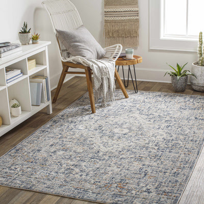 Buguey Blue & Gray Area Rug - Clearance