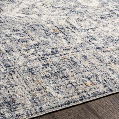 Buguey Blue & Gray Area Rug - Clearance