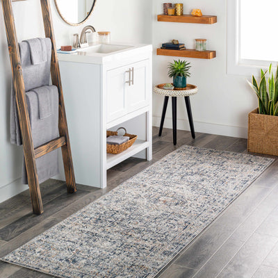 Buguey Blue & Gray Area Rug - Clearance