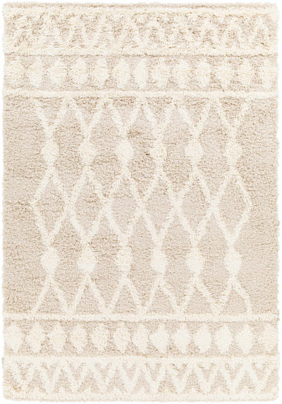 Maso Shag Area Rug