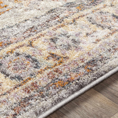 Muskegon Area Rug - Clearance