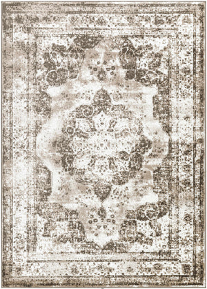 Naara Brown Distressed Area Rug