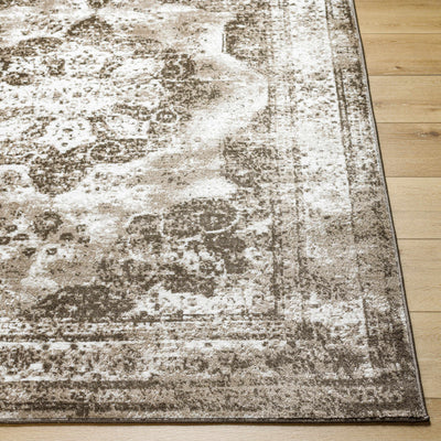 Naara Brown Distressed Area Rug