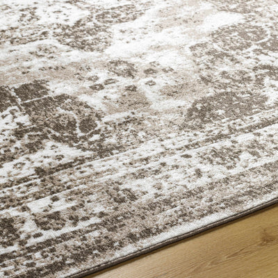 Naara Brown Distressed Area Rug