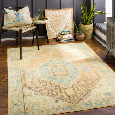 Nabangig Washable Area Rug - Clearance