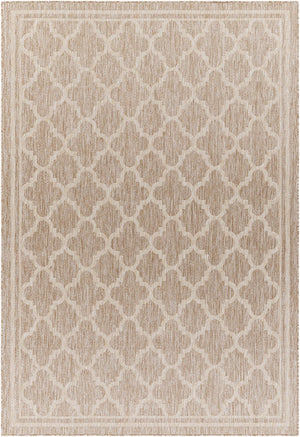 Noam Tan Indoor & Outdoor Rug - Clearance