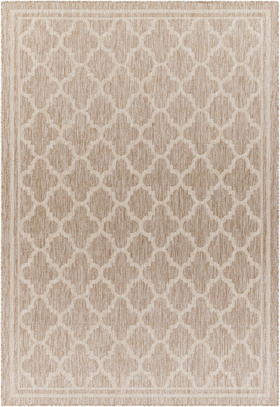 Noam Tan Indoor & Outdoor Rug - Clearance