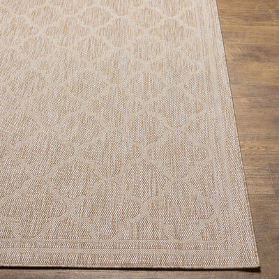 Noam Tan Indoor & Outdoor Rug - Clearance