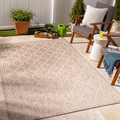 Noam Tan Indoor & Outdoor Rug - Clearance