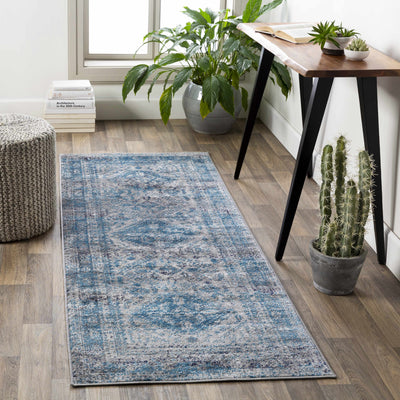 Nisula Traditional Blue Rug