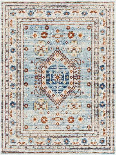 Alpaco Blue Area Rug - Clearance