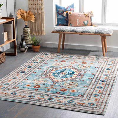 Alpaco Blue Area Rug - Clearance