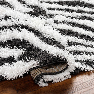 Anne Zebra Print Shag Area Rug