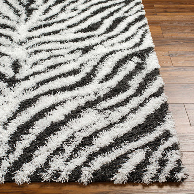 Anne Zebra Print Shag Area Rug