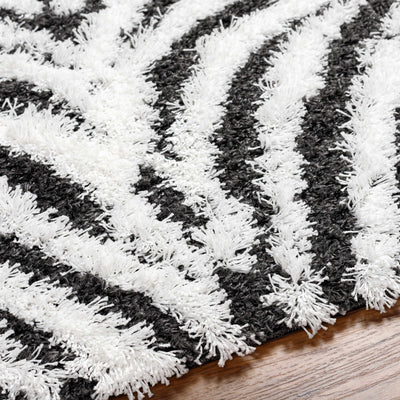 Anne Zebra Print Shag Area Rug