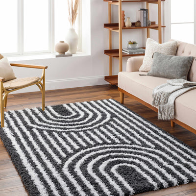 Noah Shag Area Rug