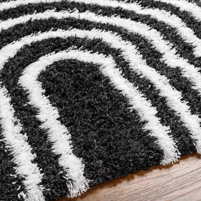 Noah Shag Area Rug