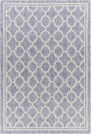 Noam Area Rug - Clearance