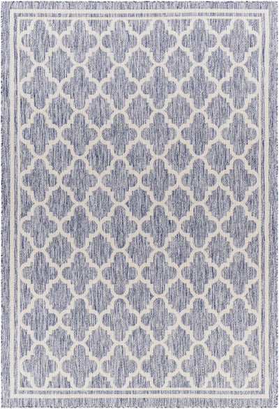 Noam Area Rug - Clearance