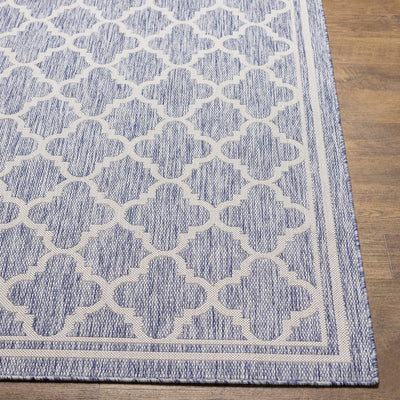 Noam Area Rug - Clearance