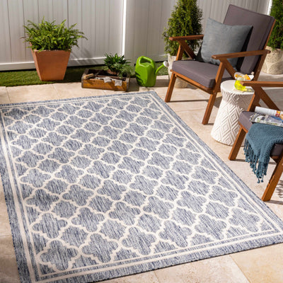 Noam Area Rug - Clearance