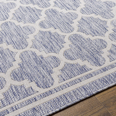 Noam Area Rug - Clearance