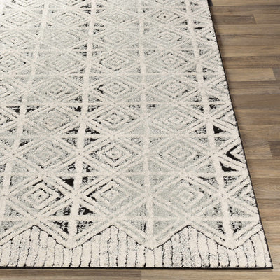 Noxen Area Rug - Clearance