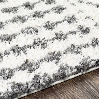 Anstey Area Rug - Clearance