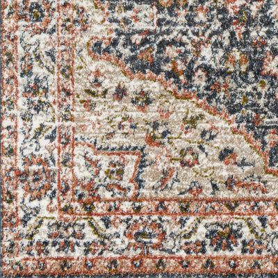 Okiot Traditional Area Rug - Clearance