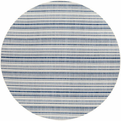 Olin White&Blue Performance Rug