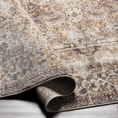 Onley Area Rug - Clearance