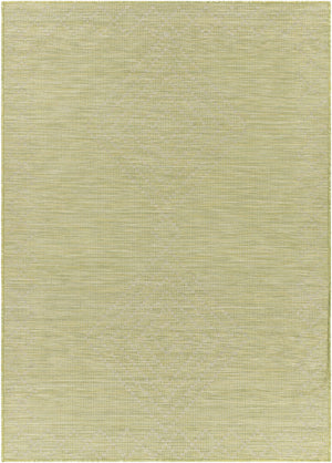 Oolitic Flatweave Area Carpet - Clearance