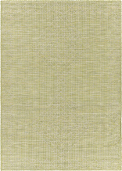 Oolitic Flatweave Area Carpet - Clearance