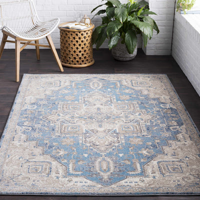 Oreland Area Rug - Clearance