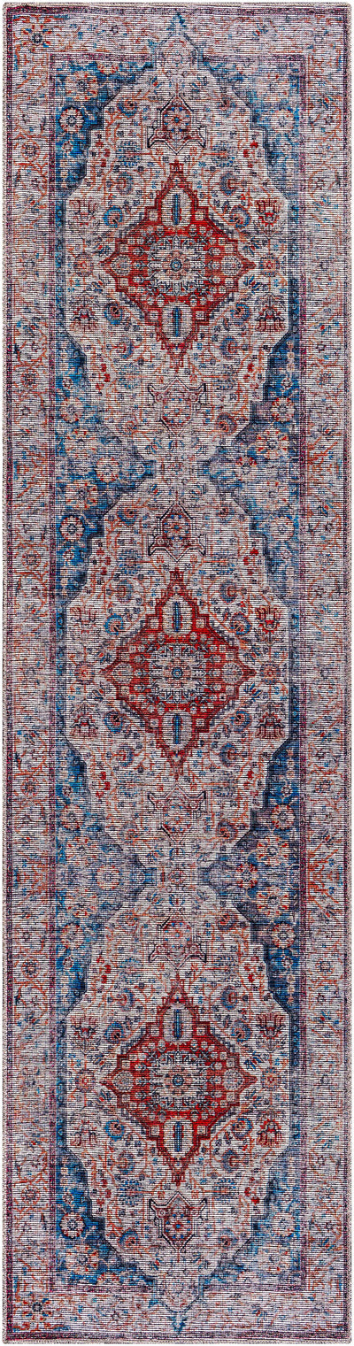 Osmaneli Washable Area Rug - Clearance