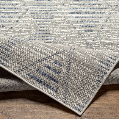 Pagatin Indoor & Outdoor Rug - Clearance