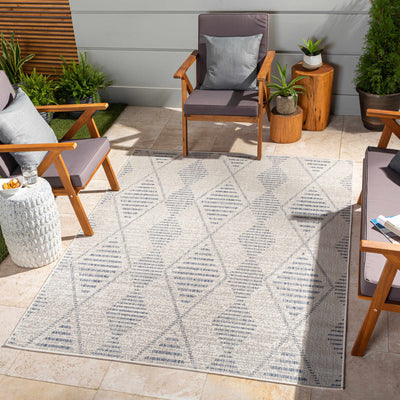 Pagatin Indoor & Outdoor Rug - Clearance