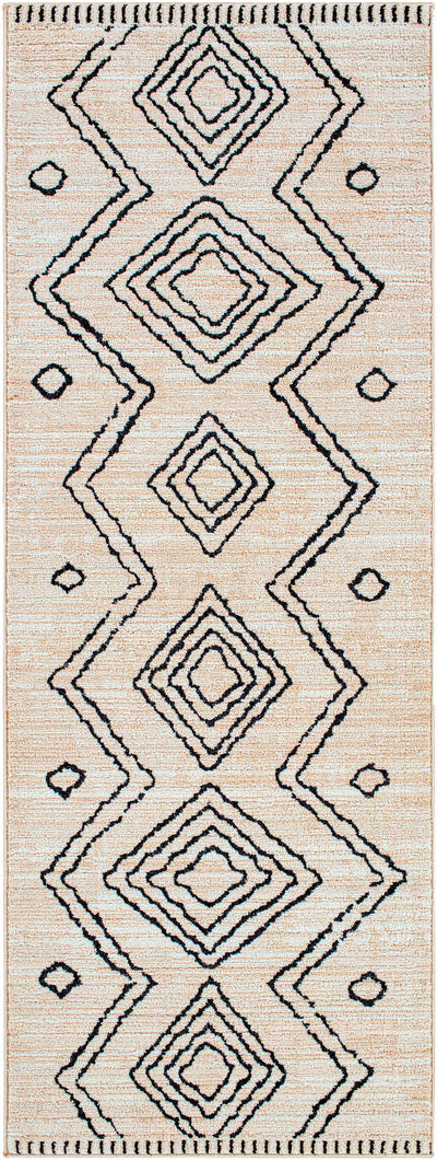 Pandi Area Rug - Clearance