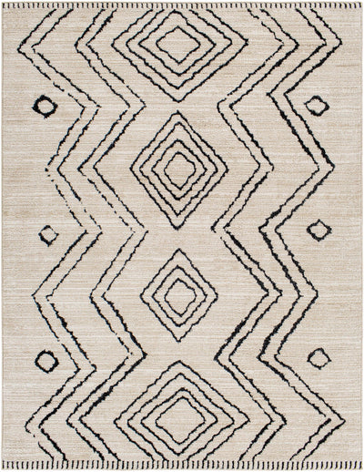 Pandi Area Rug - Clearance