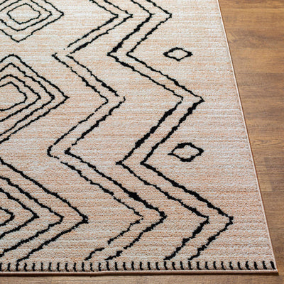 Pandi Area Rug - Clearance