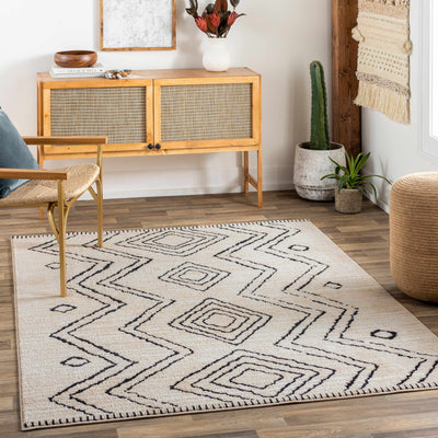 Pandi Area Rug - Clearance