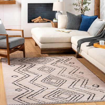 Pandi Area Rug - Clearance