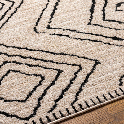 Pandi Area Rug - Clearance