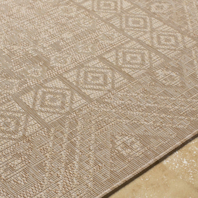 Pangdan Indoor & Outdoor Rug - Clearance