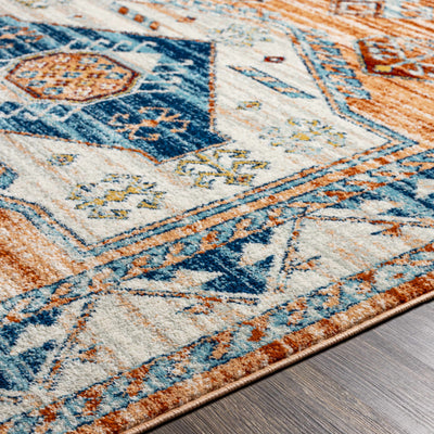 Parottee Area Rug - Clearance