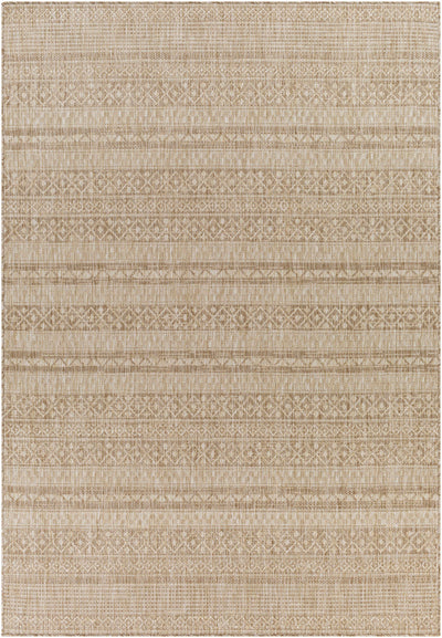 Patayac Indoor & Outdoor Rug - Clearance