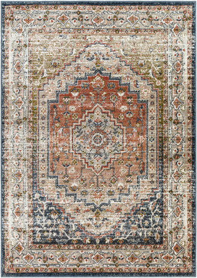 Labnig Rust Traditional Area Rug - Clearance