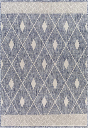 Panalingaan Indoor & Outdoor Rug - Clearance