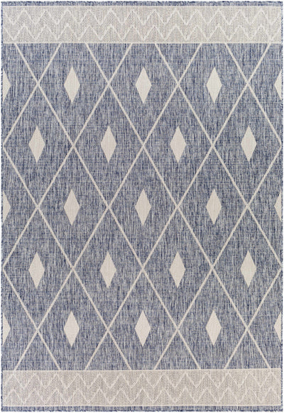 Panalingaan Indoor & Outdoor Rug - Clearance