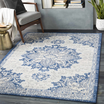 Points Clearance Rug - Clearance